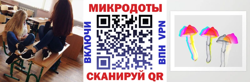 Псилоцибиновые грибы Psilocybine cubensis  купить   Ладушкин 
