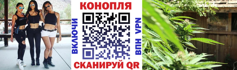 Бошки Шишки THC 21%  Ладушкин 